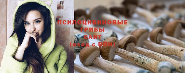 индика Абдулино