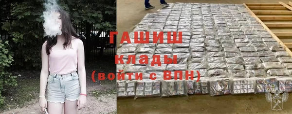 сатива Абаза