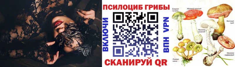 Псилоцибиновые грибы Cubensis Заозёрный